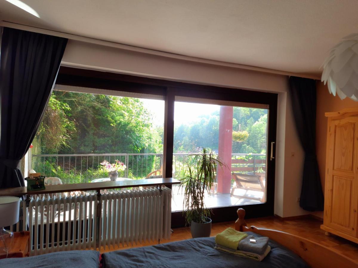 Ferienwohnung Rhododendron - Natur Pur Am Highwalk Rotenburg an der Fulda Exterior foto