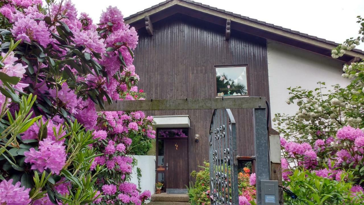 Ferienwohnung Rhododendron - Natur Pur Am Highwalk Rotenburg an der Fulda Exterior foto